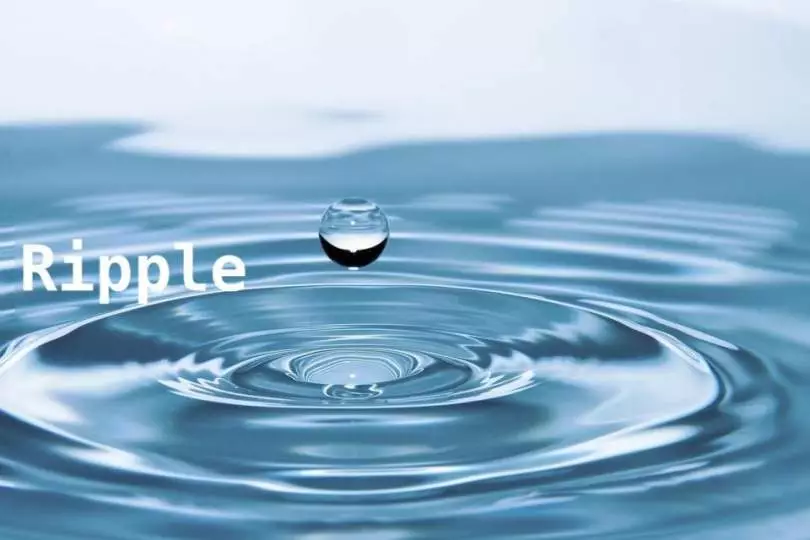 Ripple: the real business and product structure