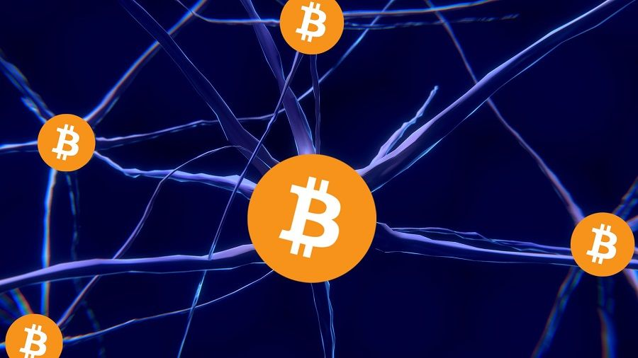 Cat protest: the cat turned off one of the nodes of the Bitcoin network