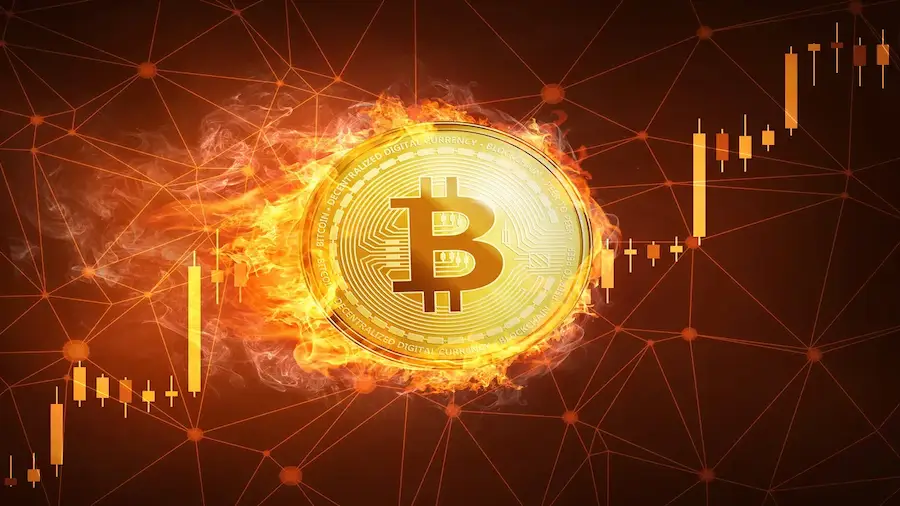 Bitcoin updated the historical maximum and rose above $ 109 800