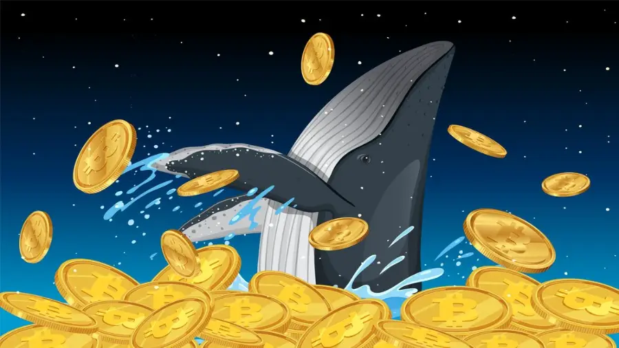Glassnode: “Whales” actively increase bitcoin reserves