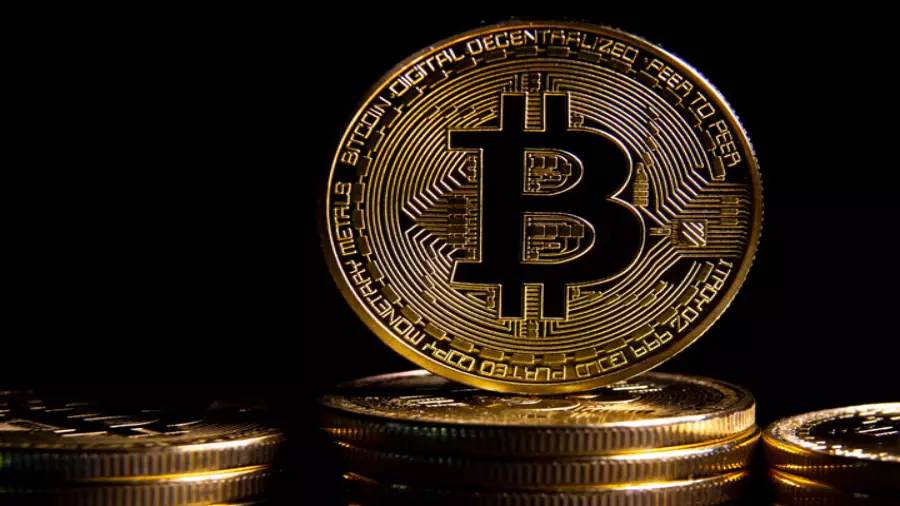 Bitcoin rate increased by more than 6% per day