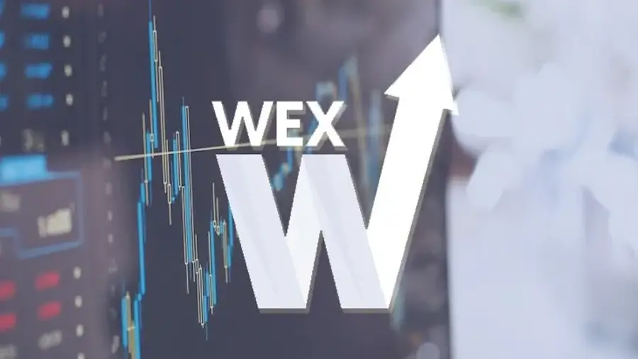 The policeman is declared dead at the co -founder of the WEX crypto -tank.