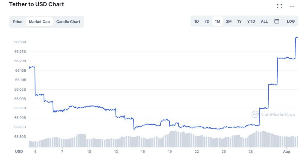 020822_USDT_market_cap.jpg