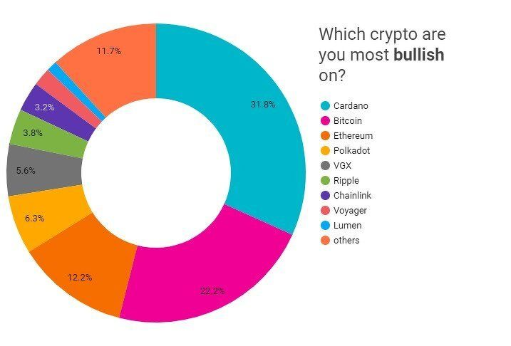 pie-chart.jpg