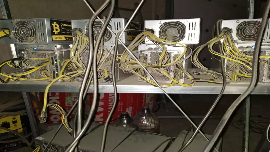Novosibirsk police liquidated a network of mining farms