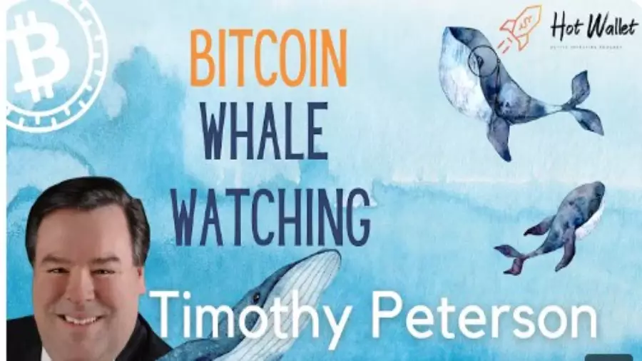 Timothy Peterson: “Bitcoin Will Reach New All-Time High in March 2025”