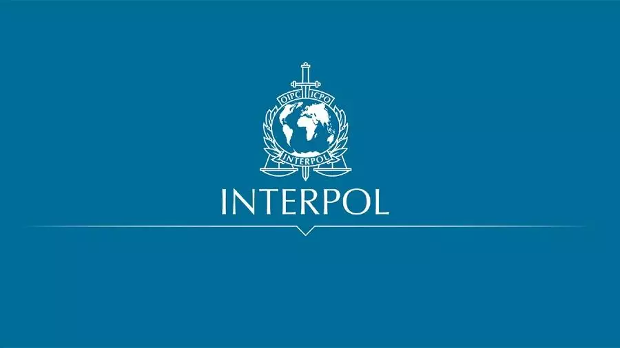 Media: Interpol began searching for 9 million missing from the JPEX exchange